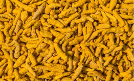 Salem turmeric fingers pile